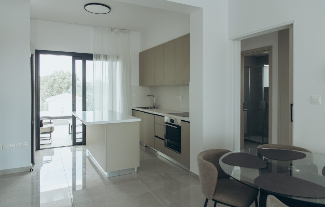 Sleek Modern Kitchen